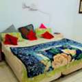 SAR 1500/month,  Furnished,  Rent