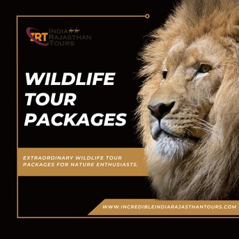 Jaipur, Travel, Experience India&rsquo;s Wild Beauty With Exciting Safari Tours