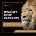 Experience India&rsquo;s Wild Beauty With Exciting Safari Tours