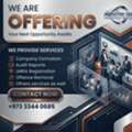Bahrain Business & Consultant Services