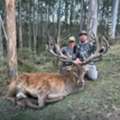 Hunt The Rare Arapawa Ram In New Zealand | Poronui Wilderness Safari