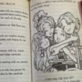 SAR 200,  Dork Diaries Series