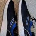 SAR 3000,  Safety Shoe New Cat