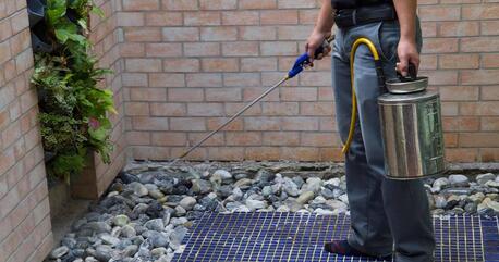 Dubai, Pest Control, Low Cost Warehouse Pest Control Dubai