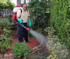 Dubai, Pest Control, Low Cost Warehouse Pest Control Dubai