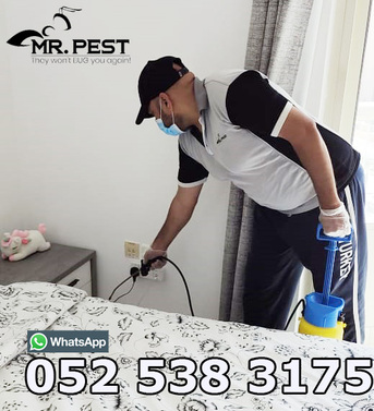 Dubai, Pest Control, Low Cost Warehouse Pest Control Dubai