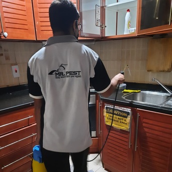 Dubai, Pest Control, Low Cost Warehouse Pest Control Dubai