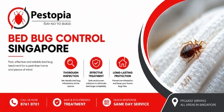 Singapore, Pest Control, SG Bed Bug Control Services