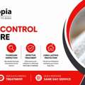 SG Bed Bug Control Services