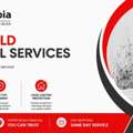 SG Mould Removal Services