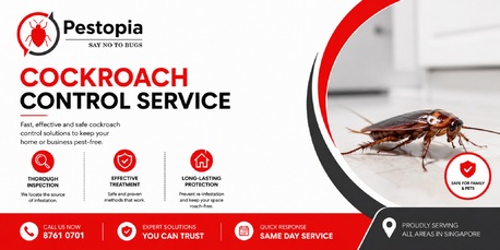 Singapore, Pest Control, SG Cockroach Control Service