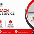 SG Cockroach Control Service