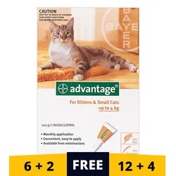 New York, Pet Supplies, USD 34,  Keep Fleas Away &ndash; Advantage For Cats 20% OFF At BestVetCare