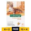 USD 34,  Keep Fleas Away &ndash; Advantage For Cats 20% OFF At BestVetCare