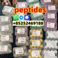 PHP 20,  Tirzepatide (2023788-19-2): Revolutionizing Weight Loss Management