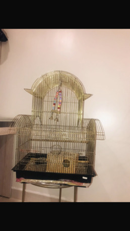 Khobar, Free Items, SAR 300,  Bird Cage