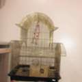 SAR 300,  Bird Cage