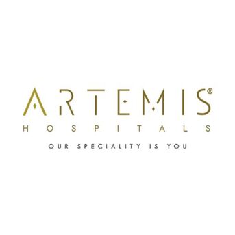 Gurugram, Health, Brain Stroke Treatment &ndash; Advanced Neurology & Emergency Stroke Care At Artemis Hospitals