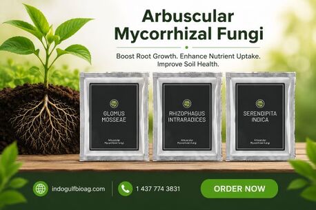 New York, Farm & Garden, USD 50,  Low Crop Response? Use Arbuscular Mycorrhizal Fungi &ndash; Contact Today
