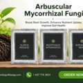 USD 50,  Low Crop Response? Use Arbuscular Mycorrhizal Fungi &ndash; Contact Today