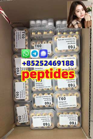 Tampa Bay, Health & Beauty Items, USD 20,  Hot Sell Raw Materia Peptide Peptides  Powder