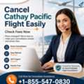 Cancel Cathay Pacific Flight Easily &ndash; Check Fees Now