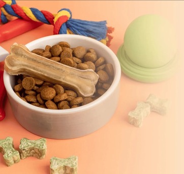 Mumbai, Pet Supplies, The Growing Importance Of Preventive Healthcare For Pets In India