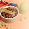The Growing Importance Of Preventive Healthcare For Pets In India