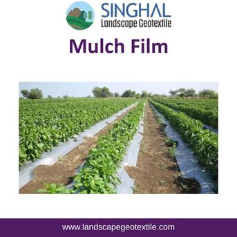 Ahmedabad, Farm & Garden, INR 5000,  Mulch Film Enhances Farming Efficiency And Plant Health