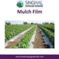 INR 5000,  Mulch Film Enhances Farming Efficiency And Plant Health