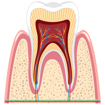 Noida, Help, Best Root Canal Treatment In Noida For Lasting Relief