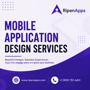 New York, Web Design & Development, Mobile Application Design Services For Startups