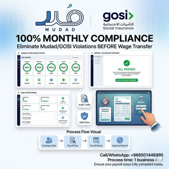 Al Malaz, Legal, Mudad Payroll & WPS Compliance - 100% Monthly Mudad Error Fix In Qiwa & Mudad Systems