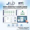 Mudad Payroll & WPS Compliance - 100% Monthly Mudad Error Fix In Qiwa & Mudad Systems