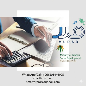Al Malaz, Legal, Mudad Payroll & WPS Compliance - 100% Monthly Mudad Error Fix In Qiwa & Mudad Systems