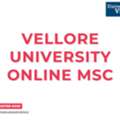 VIT Online MSc Applications Open &mdash; Secure Your Postgraduate Science Seat Before Intake Clo