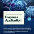 Weak Fiber Recovery? Choose Balaji Chem Solutions Industrial Enzymes