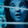 Avatar: The Way Of Water Inspired Film Project | JAX Film