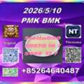 CNY 100,  P-MK 28578-16-7 BM-K 5449-12-7 Chemical Raw Materials