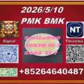 CNY 100, Best Service PM.K Cas 28578-16-7 And BM.K Cas 5449-12-7/49851-31-2