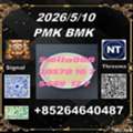 CNY 100, P.MK Cas 28578-16-7and BM.K 5449-12-7 Low Price/49851-31-2