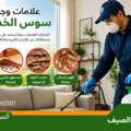 حشرة الخشب - تخلص منها في اقل من 24 ساعة 01016662501
