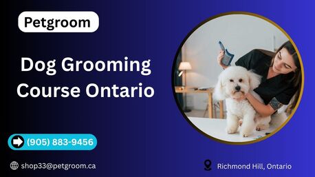 Toronto, Beautician, Dog Grooming Course Ontario | Professional Training By Petgroom