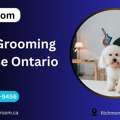 Dog Grooming Course Ontario | Professional Training By Petgroom