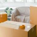 Affordable Packing And Crating Services In Tampa Bay And Orlando