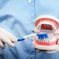 Affordable Etobicoke Dental Care - Book Your Visit Today!
