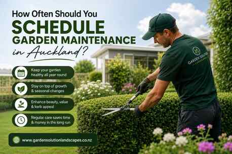 Auckland, Farm/Garden, How Often Should You Schedule Garden Maintenance In Auckland?