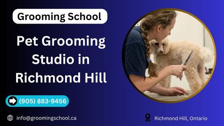 Toronto, Beautician, Pet Grooming Studio In Richmond Hill | Grooming School