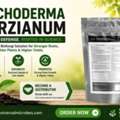 USD 35,  Build A Protective Soil Shield With Trichoderma Harzianum &ndash; Contact Now