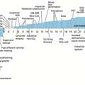World Energy Consumption